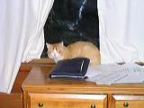p1010209